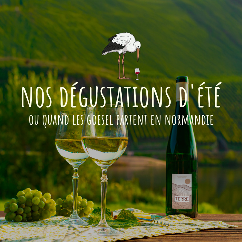 www.boutique.goesel.fr