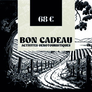 Bon Cadeau-Activité à la journée-sans pique-nique