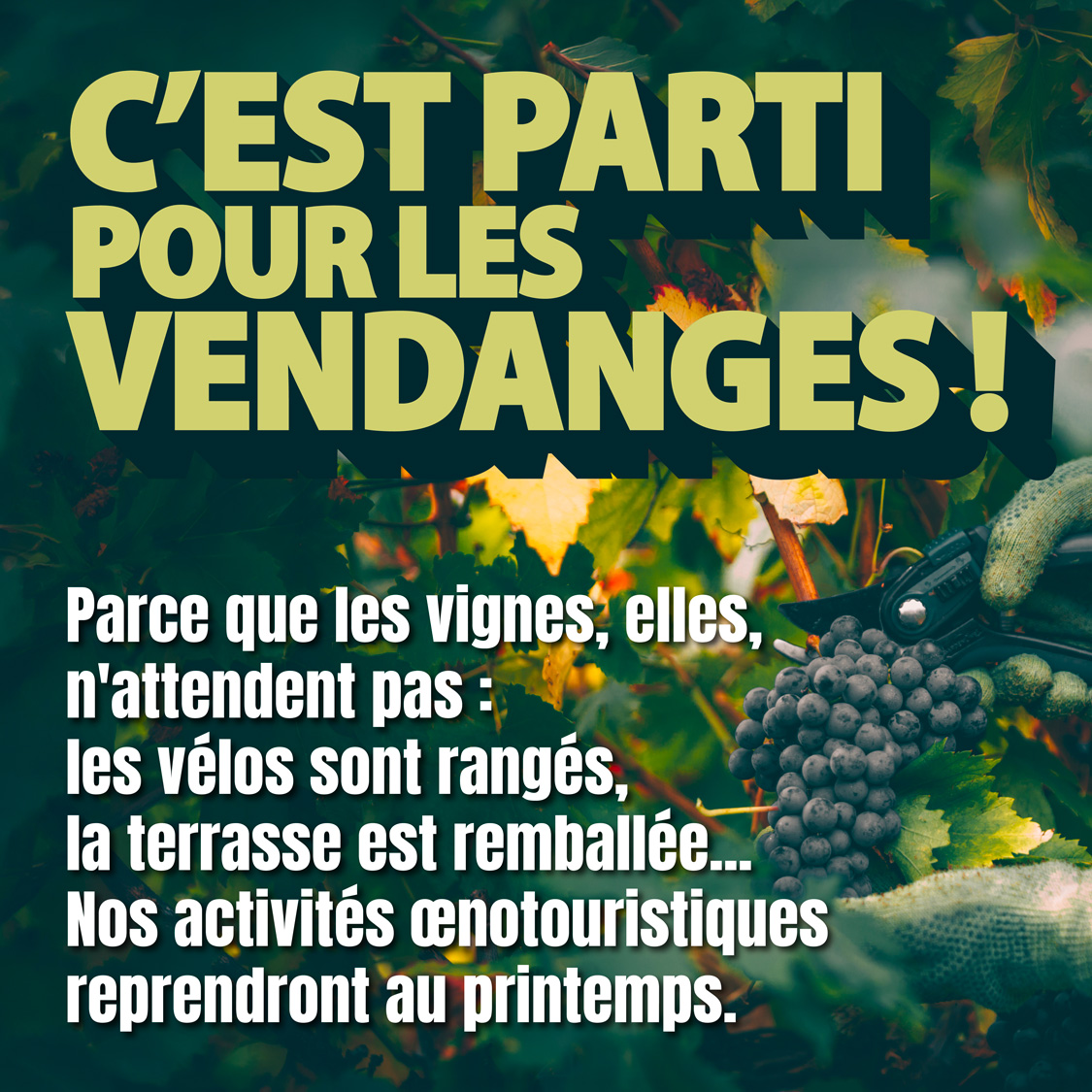 www.boutique.goesel.fr